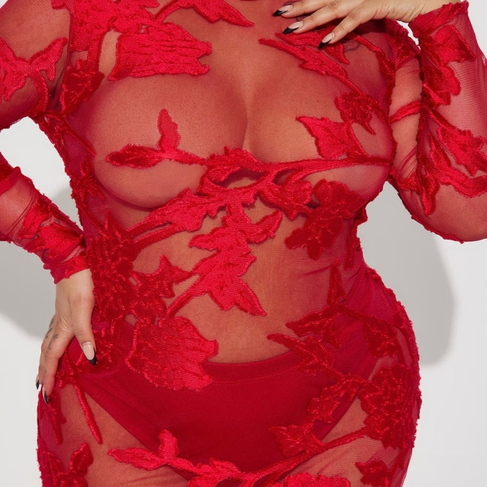 Mesh Lace Dress